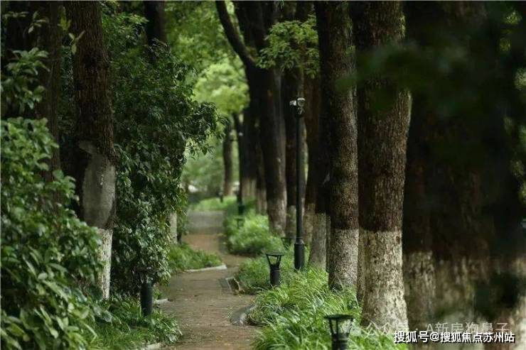 5楼盘评测_普陀中鹰黑森林售楼处样板间价格户型龙8囯际中鹰黑森林(售楼处)首页网站-202(图4)