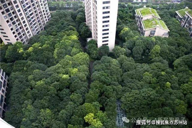 5楼盘评测_普陀中鹰黑森林售楼处样板间价格户型龙8囯际中鹰黑森林(售楼处)首页网站-202(图7)
