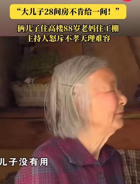 却让88岁老母亲住铁皮工棚心碎!两儿子家各有28间房(图3)